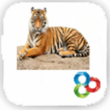 Go Launcher Tiger Theme