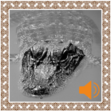 Crocodile Sounds