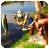 Wild Fishing Puzzle