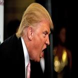 Trump 'em!