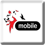 DRAM Mobile