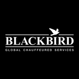 Blackbird