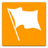 Flags Widget