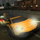 Expert School Of Driving Car Simulator