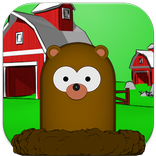 Hammer mole
