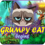 Grumpy Cat