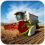 Farm wheat harvester puzzle