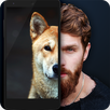What dog are you - test prank APK