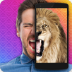 What animal are you? APK