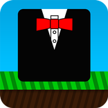 Mr Fancy