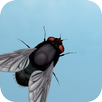 Fly on the screen APK