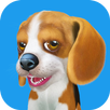 Hello! Talking Dog aplikacja