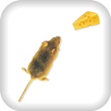 Made Mice for Cheese APK