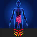 CT Abdomen