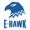 E-Hawk APK