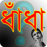 সেরা সব ধাঁধা