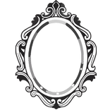 The Camera Mirror