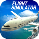 เที่ยวบินบ้า Simulator 2017 APK