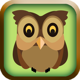 Little Owl - Fantastic Journey