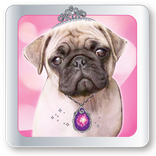 Pet Beauty Salon 2