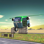Auto Rickshaw Flying