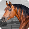 My Horse & Me Pony Coloring 2 APK