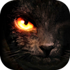 Tactile Tales: Immersive Books APK