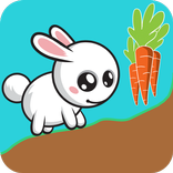 Hungry Rabbit