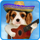 Funny cats. Funny dogs. icon