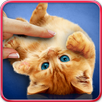 Purring cats, live wallpaper APK