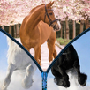 Horses World - Zipper Unlock Screen APK