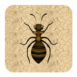 Ant Attack