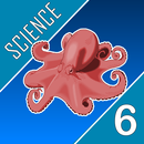Science Quest Quiz Sixth Grade APK