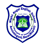 Night Angel English School (Unreleased)