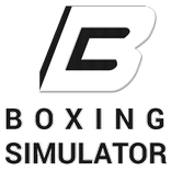 Boxing Simulator