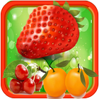 Fruit link 2017 icon