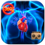 VR 360 Inside Human Body 3D Atlas ( Anatomy )