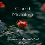 Good Morning Images, Wallpaper and status Whatsapp