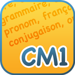 Exogus CM1 Révision français