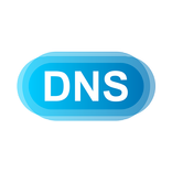 DNS Updater