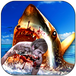 ”Angry Shark