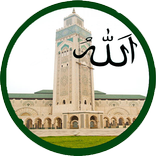 Salat First PRO