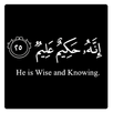 Islamic Reminders Quotes APK