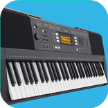 Electronic Organ