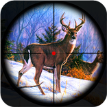 Wild Real Hunting In Jungle