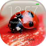 Ladybug Lock Screen