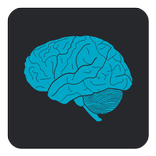 Photographic Memory