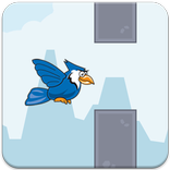 Tappy Blue Jay