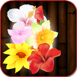 Flower Jungle