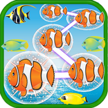 Jogo Peixe Ligação